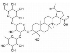 中藥標(biāo)準(zhǔn)品