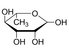 中藥標(biāo)準(zhǔn)品