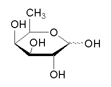 中藥標(biāo)準(zhǔn)品