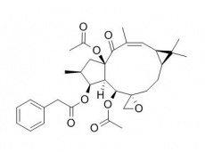 中藥標(biāo)準(zhǔn)品