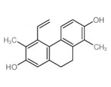 中藥標(biāo)準(zhǔn)品