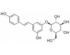 中藥標(biāo)準(zhǔn)品