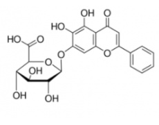 中藥標(biāo)準(zhǔn)品