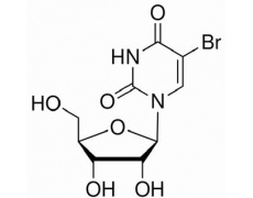 植物激素及核酸類(lèi)