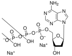 植物激素及核酸類(lèi)