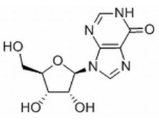 植物激素及核酸類