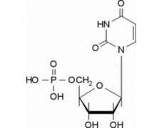 植物激素及核酸類(lèi)