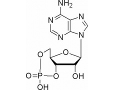 植物激素及核酸類