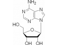 植物激素及核酸類