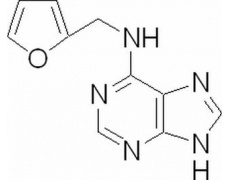 植物激素及核酸類