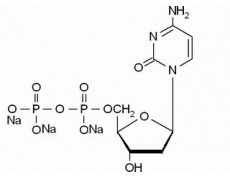 植物激素及核酸類