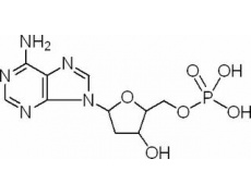 植物激素及核酸類