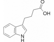 植物激素及核酸類