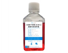 永生化細(xì)胞專用培養(yǎng)基