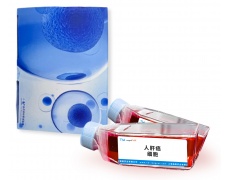 人原代細(xì)胞