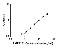 大鼠 Elisa試劑盒