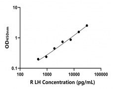 兔類 Elisa試劑盒
