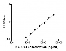 大鼠 Elisa試劑盒
