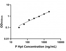 其他 Elisa試劑盒
