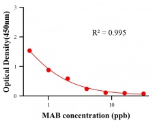 性激素ELISA競(jìng)爭(zhēng)法