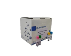 探針?lè)╭PCR試劑盒