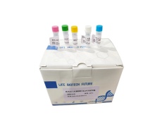 探針?lè)╭PCR試劑盒