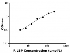 大鼠 Elisa試劑盒