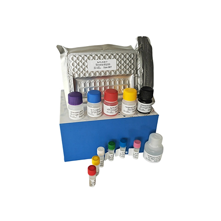 免疫磁珠試劑盒